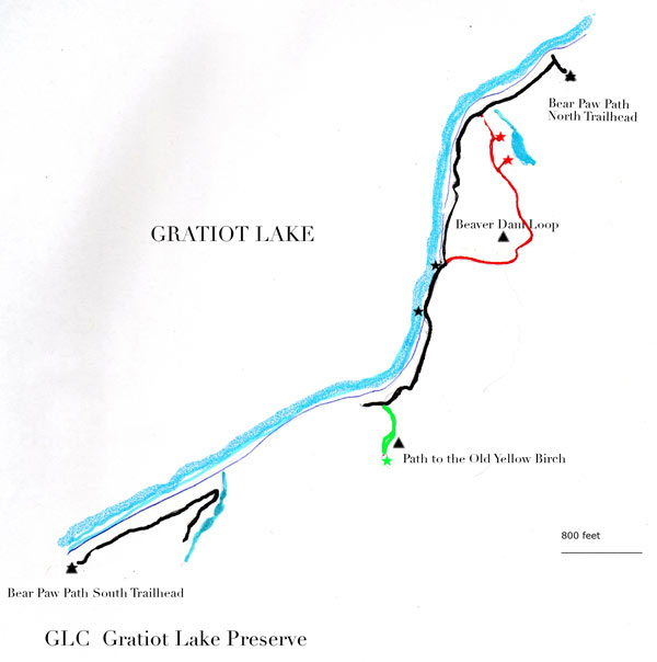 BearPaw Path Map