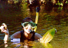 Diving for clams